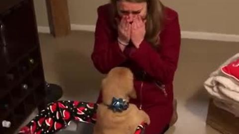 Husband Gifts Wife With A Golden Retriever Puppy For Christmas