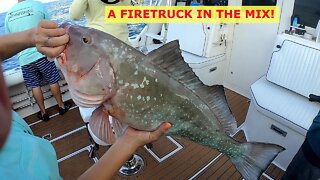 NONSTOP Snapper Action With Mahi And Grouper Offshore