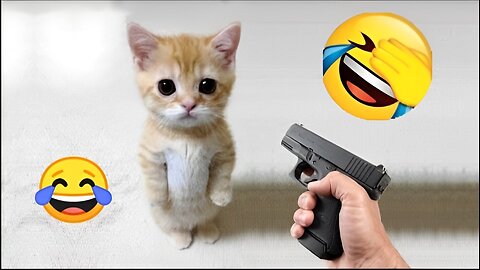 Funny Cat😸 vs Gun Funny Animals😂 Playing Dead on Finger shot Compilation || Animal Gags