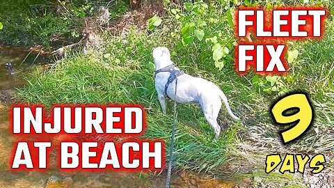 A Trip To The Beach Didn't End Well For Lefty | Fleet Fix Fuel Filter | Ambulance Conversion Life