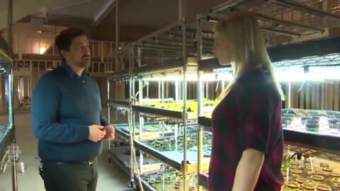 @BITCOIN Mining Heat Being Used to Grow Food, Fish & Flowers Year Round in Manitoba | CBC News