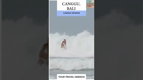 Surf's Up in Canggu Bali #shorts #canggu #canggubali #travel