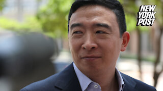 Andrew Yang hospitalized after attending Yankees opener with family