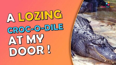 Crocodile at My Door True Story