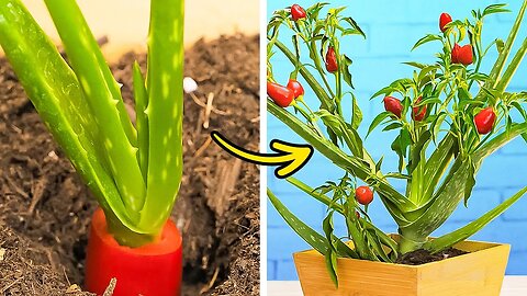 Grow Like a Pro with These Genius Gardening Hacks