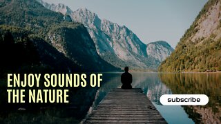 Relaxing nature sounds