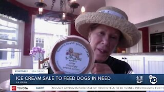La Jolla woman uses homemade ice cream sales to feed pets facing hunger