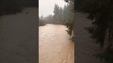 Flooding River । Dangerous Water