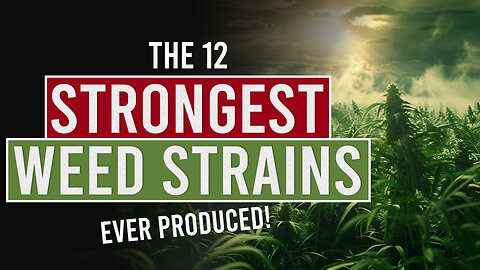 0:05 / 9:51 The 12 Strongest Weed Strains Ever Produced!