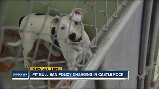 Pit bull ban to be lifted in Castle Rock following overwhelming support