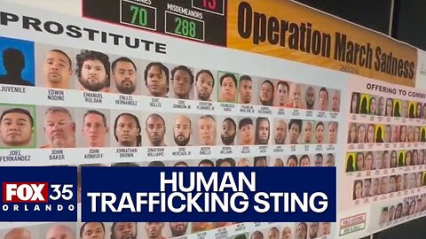 Sheriff Grady Judd speaks on massive human trafficking sting