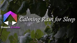 8 Hours of Calming Rain to Help You Sleep