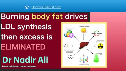 NADIR ALI Part 2: Burning body fat drives LDL synthesis then excess is ELIMINATED