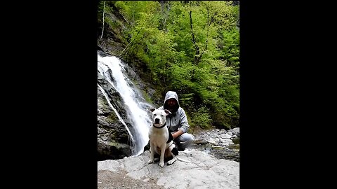 #mountain #shortvideo #amstaff #nature #waterfall