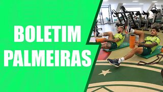 Palmeiras assume a segunda colocação do Campeonato Brasileiro. subiu 7 posições. A rodada foi verde.