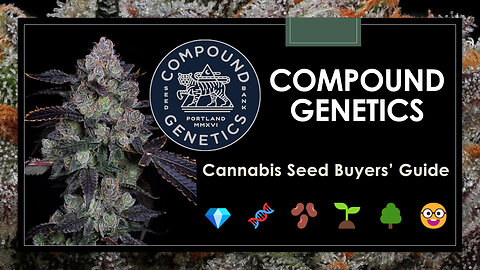 8 Top Strains from Compound Genetics | Cannabis Seeds Buyers' Guide