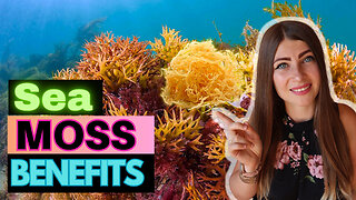 10 Amazing Benefits of Sea Moss 🌱Natural Multimineral
