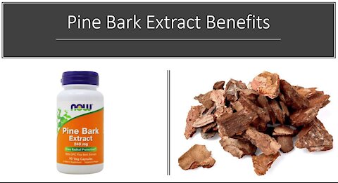 Pine Bark Benefits