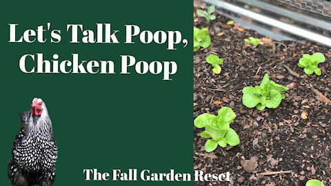 Let's Talk Poop, Chicken Poop- The Fall Annual Garden Reset [ podcast ]