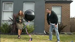 Twins Gender Reveal Results In Epic Conclusion