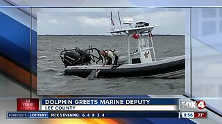 Dolphin greets marine unit deputy at boatside