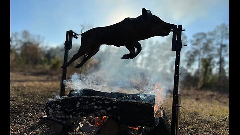 Wild Pig Hunt And Rotisserie Over the Fire! SO GOOD!