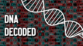 DNA: The Blueprint for Life