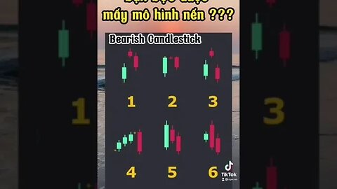 PRO or NEWBIE👉👉👉 What Name of Bearish Candlestick?