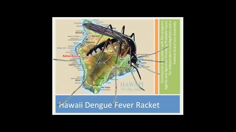 Dengue Fever Presentation by Dr. Leonard G. Horowitz
