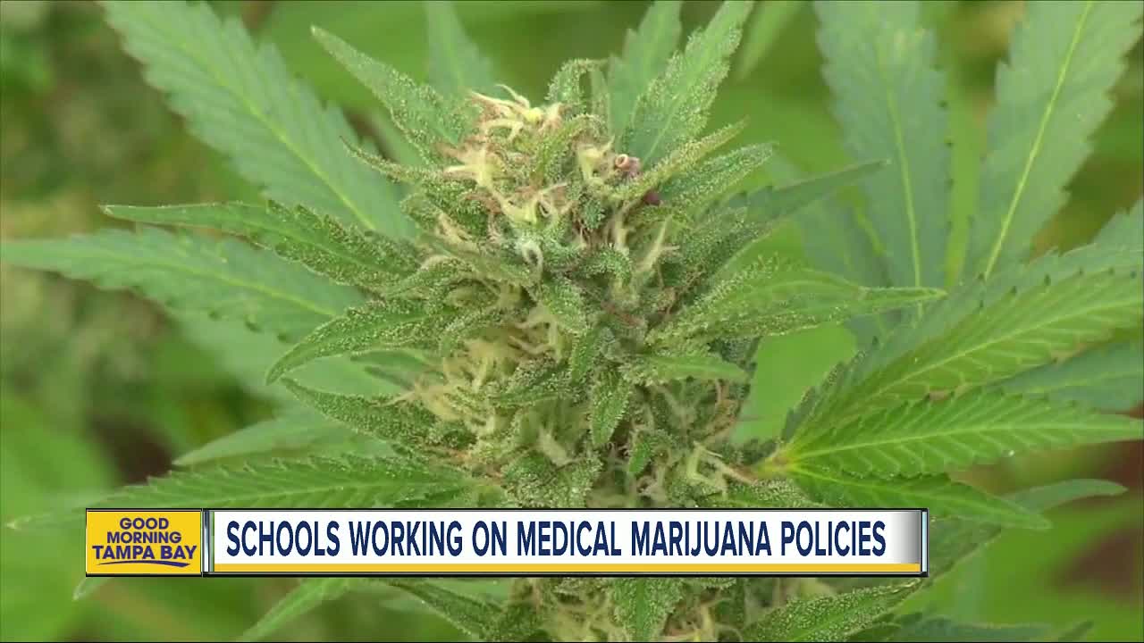 Florida schools are drafting medical marijuana policies