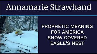 Prophetic Meaning For America - Snow Covered Eagle's Nest