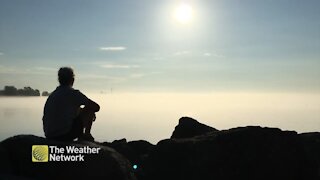 The Toronto skyline on a foggy steamy morning