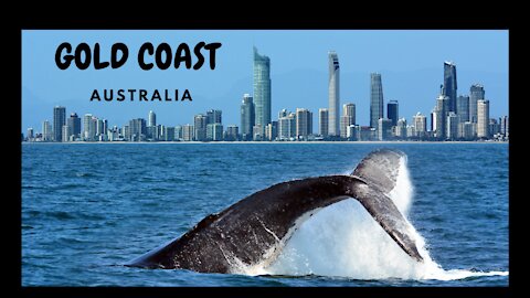 Gold Coast 2021 - Listen to the soft sounds and natural landscape. Relaxing Music to Sooth the mind