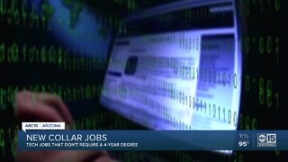 New collar jobs on the rise