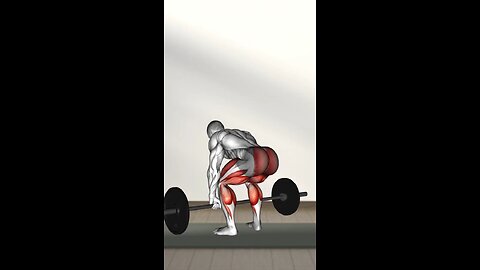 Home And Gym Leg Workout