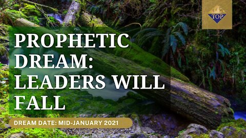 Prophetic Dreams: Leaders Will Fall 😳 | Sebastien Richard | Thriving on Purpose