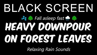 Soothing HEAVY RAIN on Leaves | SLEEP instantly within 5 Minutes | 10 Hours 🌧️🍃😴