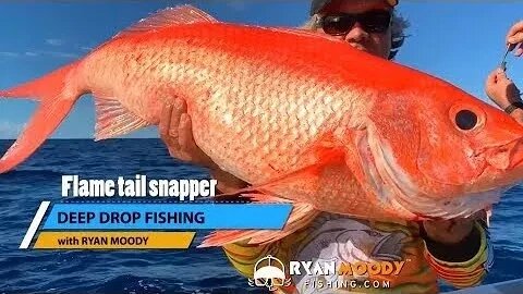 Deep drop Fishing for flame tail snapper and other monsters of the deep!