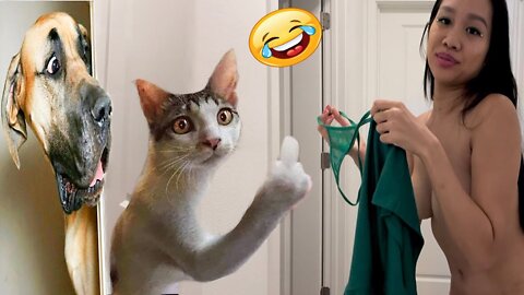 Funniest Cats 😹 - Don't try to hold back Laughter 😂 - Funny Cats Life //shtty
