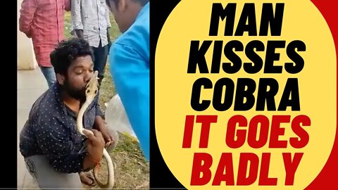 Man Tries To Kiss COBRA, It Doesn't End Well