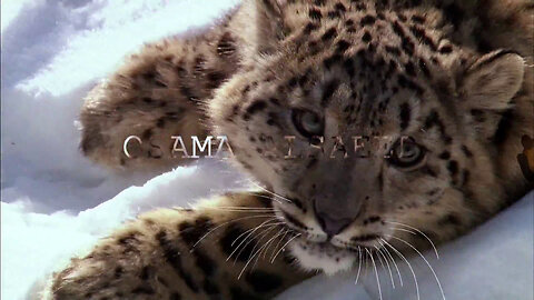Animals Documentaries Promo