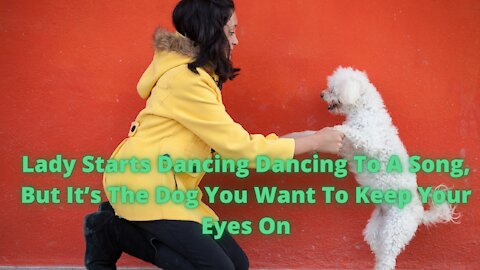 Lady Starts Dancing Dancing To A Song, But It’s The Dog You Want To Keep Your Eyes On