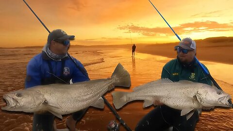 Targeting Kob in the surf! Fishing with live Mullet and Octopus for mulloway from the beach.