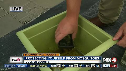 Mosquito control tips following heavy downpours - 7am live report