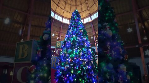 Taking You Inside A Christmas Tree 🎄 #holidayswithshorts #shortsirl #secret
