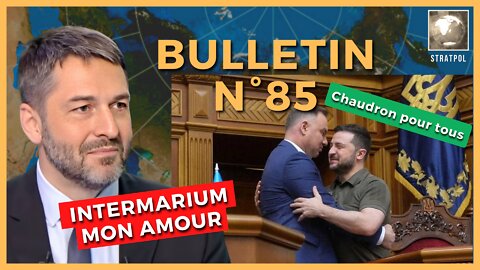 Bulletin N°85. Intermarium mon amour, chaudron pour tous. 28.05.2022.