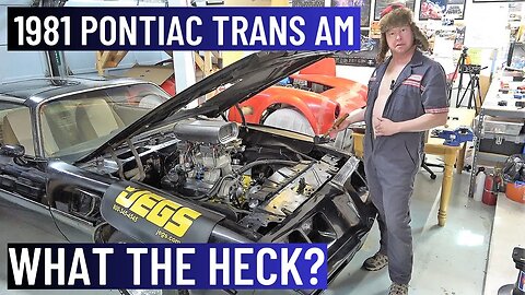 1981 Pontiac Trans Am | What The Heck!?
