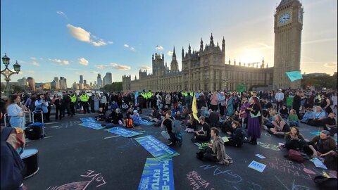 #protest #live ANIMAL REBELLION block Westminster Bridge | LONDON, UK |