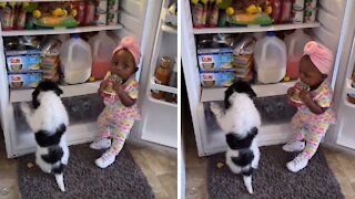 Sneaky Toddler & Puppy Caught Red-handed Stealing Snacks