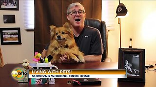 Greg Robbins - Living with Pets